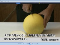 八代特産ばんぺいゆ　紹介用DVDの制作